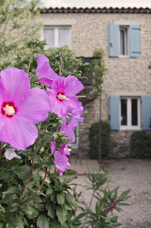 Cypres Du Paradis A Gordes Kültér fotó